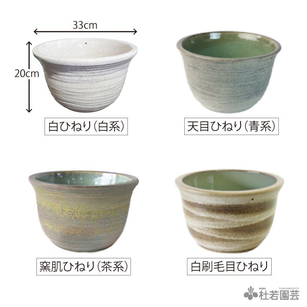 信楽焼メダカ鉢カンタンビオトープセット | 杜若園芸WEBショップ｜水草