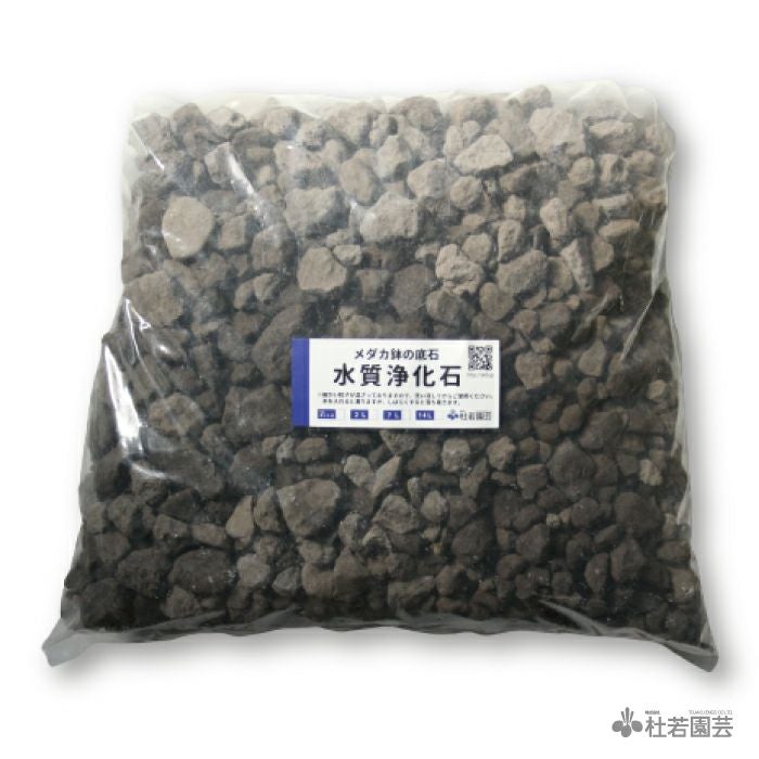 000000003478-01.jpg?size=l&w=