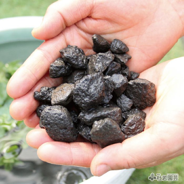 メダカ水質浄化石（荒目）7L | 杜若園芸WEBショップ｜水草の生産販売