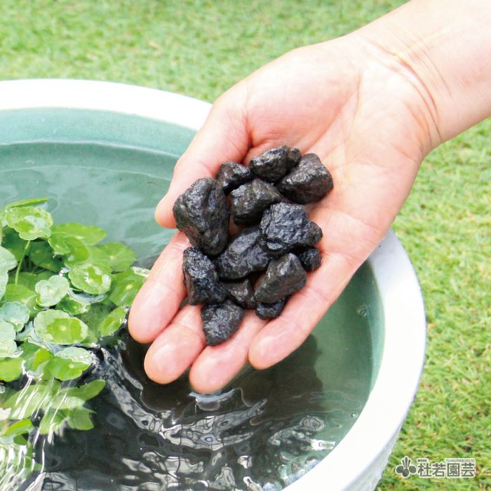 メダカ水質浄化石（荒目）7L | 杜若園芸WEBショップ｜水草の生産販売