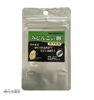 みじんこの卵（1カプセル） 【メール便対応】 | 杜若園芸WEBショップ