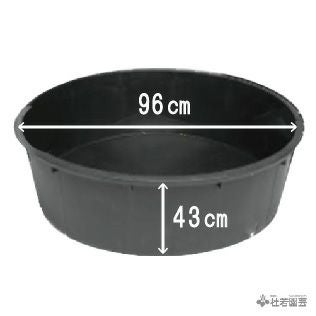 000000003502-01.jpg?size=m&w=