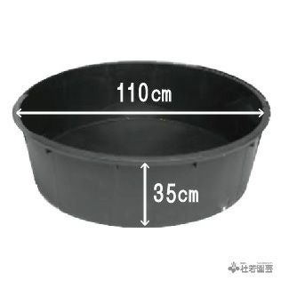 大型浅鉢 （Φ110×H35） | 杜若園芸WEBショップ｜水草の生産販売【通販