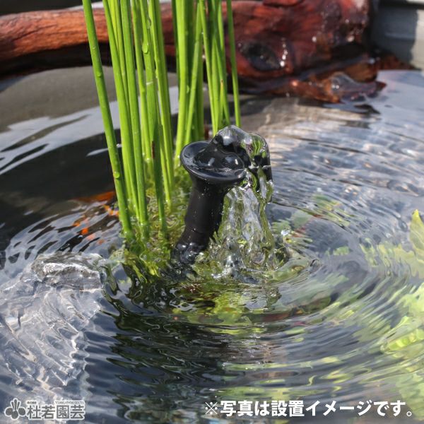 ソーラーマーメイド230 噴水セット | 杜若園芸WEBショップ｜水草の生産