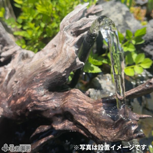 ソーラーマーメイド230 噴水セット | 杜若園芸WEBショップ｜水草の生産
