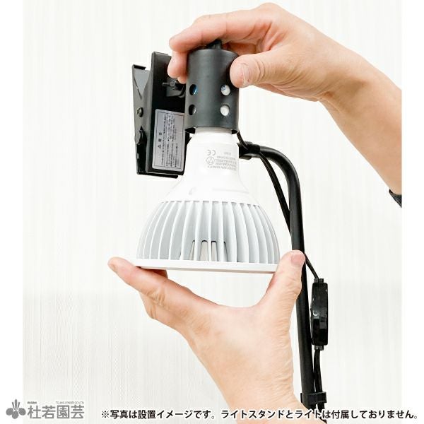 クリップスタンドひまわり | 杜若園芸WEBショップ｜水草の生産販売