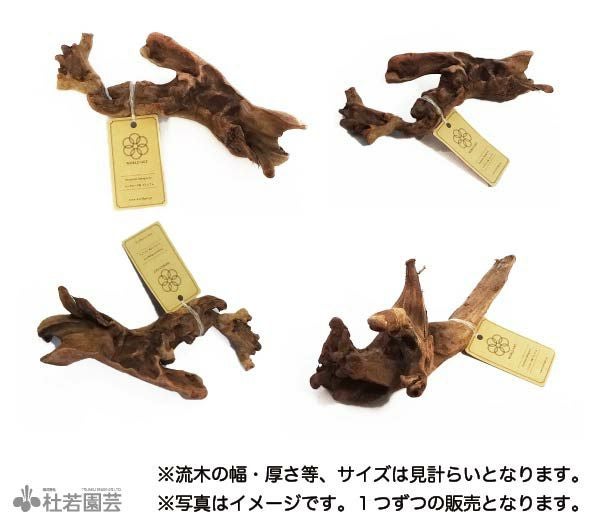 くまたろうさん 専用③ 流木 流木 販売 群馬 天然木 インテリア 大型 ryuboku-013 : 有限会社