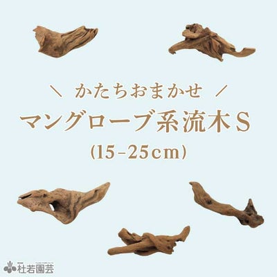 マングローブ系 流木 Sサイズ | 杜若園芸WEBショップ｜水草の生産販売 