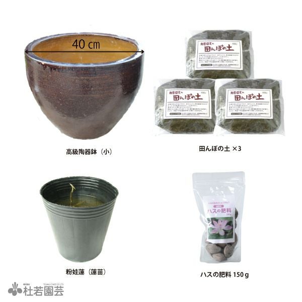 小型蓮のモダン高級陶器鉢セット | 杜若園芸WEBショップ｜水草の生産