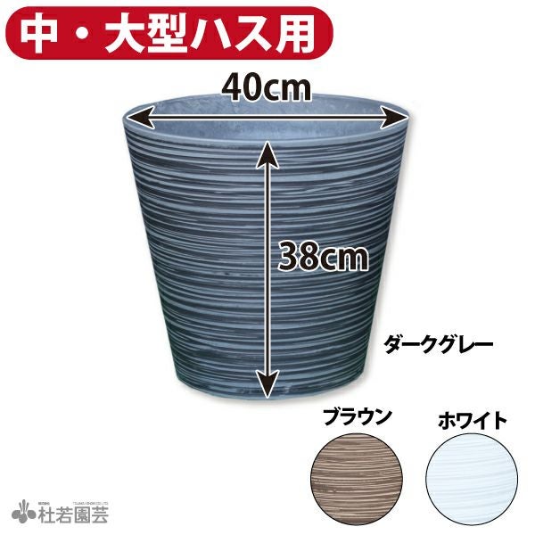 HASUBACHI 40 | 杜若園芸WEBショップ｜水草の生産販売【通販ショップ】