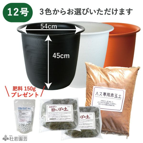 000000003549-01.jpg?size=m&w=