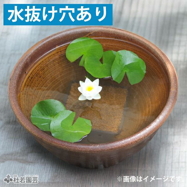 水鉢(陶器・プラ）】睡蓮鉢、メダカ鉢、蓮鉢 通販（販売） | 杜若園芸