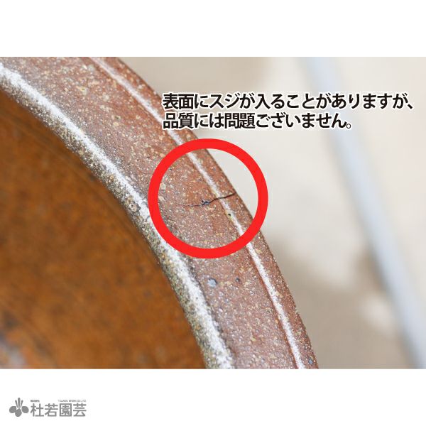 メダカビオトープ鉢（S） | 杜若園芸WEBショップ｜水草の生産販売