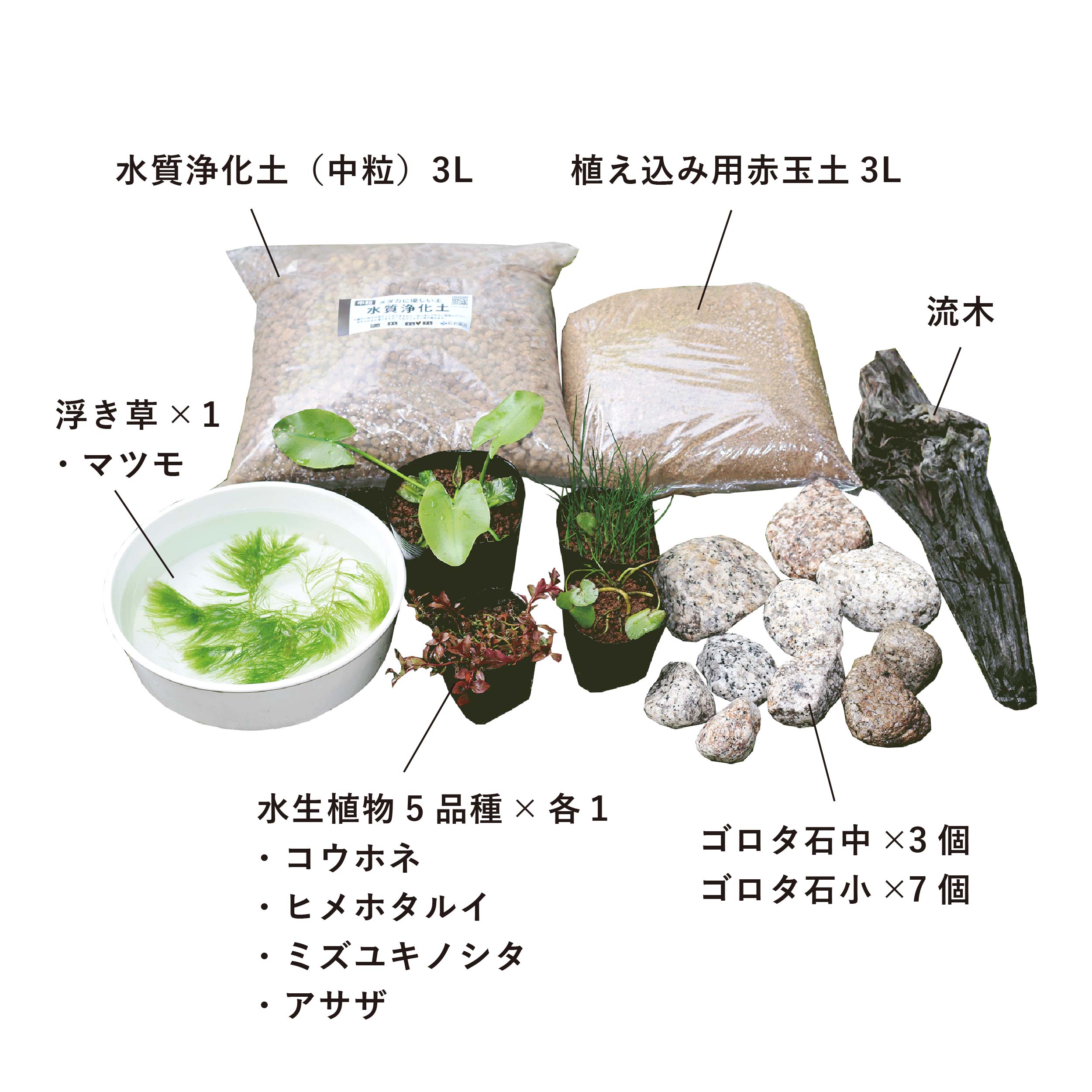 日本の水草でつくる メダカビオトープコーディネート10点セット | 杜若