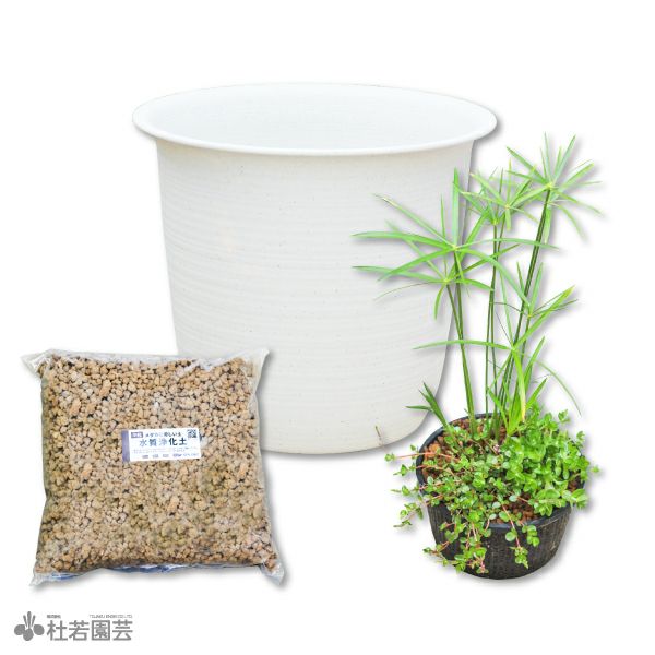 夏のメダカ飼育】深鉢ビオトープセット | 杜若園芸WEBショップ｜水草の