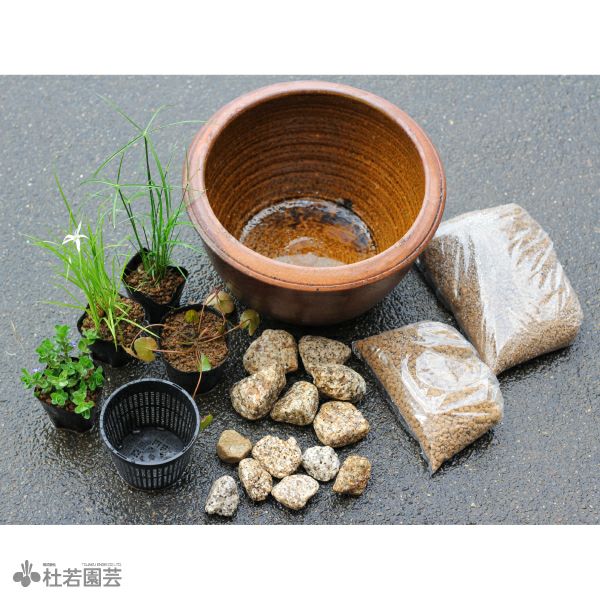 スイレン咲く！小型サイズで楽しむメダカビオトープセット | 杜若園芸