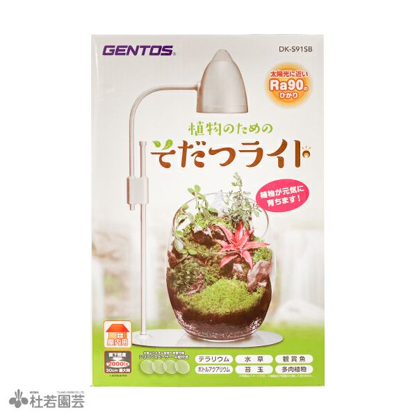 ☆杜のメダカ☆★メダカ飼育にオススメ。詫び草のある生活★20センチ陶器 日本初の水生植物専門店「杜若園芸」に聞いたメダカの飼育におすすめの