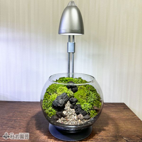 GENTOS 植物のための そだつライト | 杜若園芸WEBショップ｜水草の生産