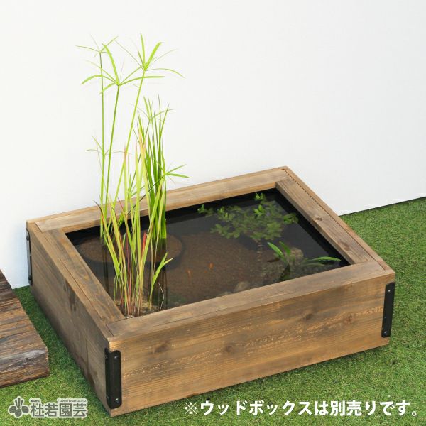受け渡し者決定しました。　メダカ飼育やビオトープに!! 楽天市場】ミニ・メダカ繁殖ビオトープセット : 杜若園芸 楽天市場店