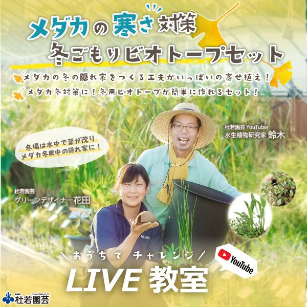 メダカの寒さ対策！ 冬ごもりビオトープセット | 杜若園芸WEBショップ