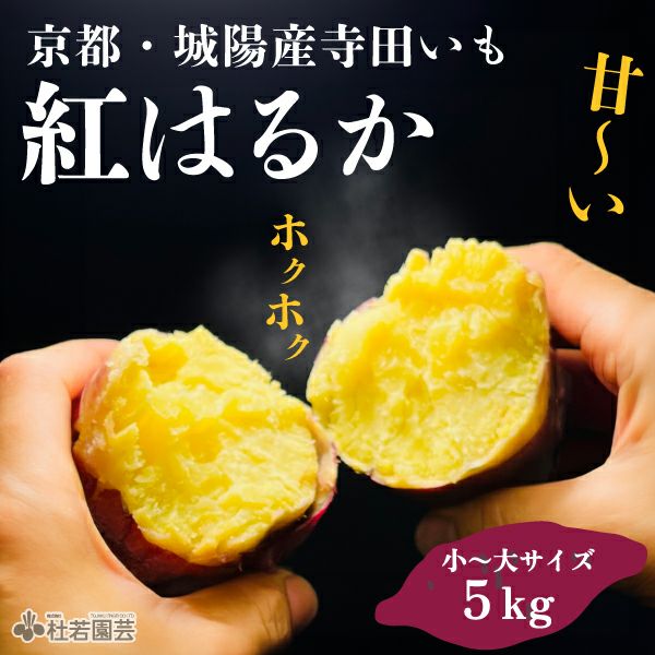 京都産さつまいも】京都城陽寺田いも（紅はるか） 5㎏ | 杜若園芸WEB
