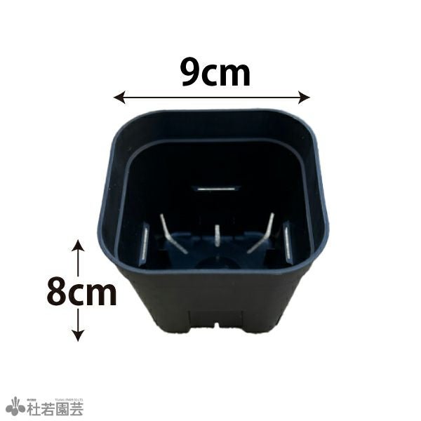 水草植替えポット（角） | 杜若園芸WEBショップ｜水草の生産販売【通販
