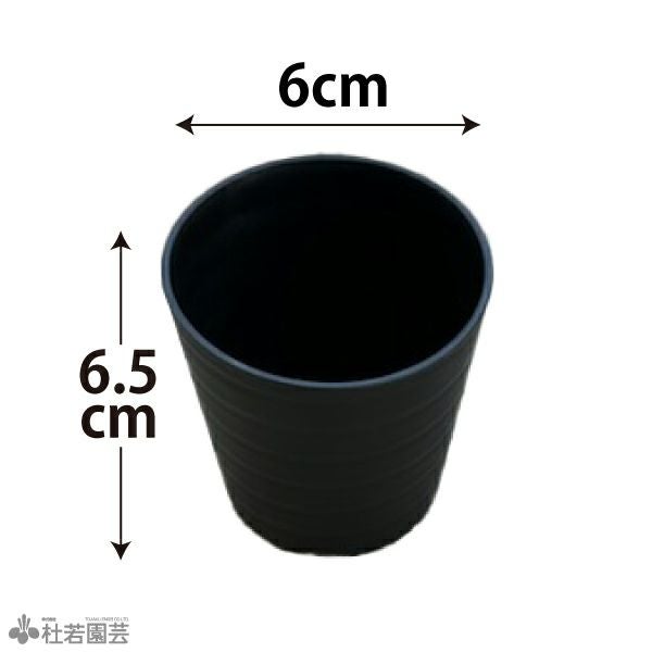 水草植替えポット（丸） | 杜若園芸WEBショップ｜水草の生産販売【通販