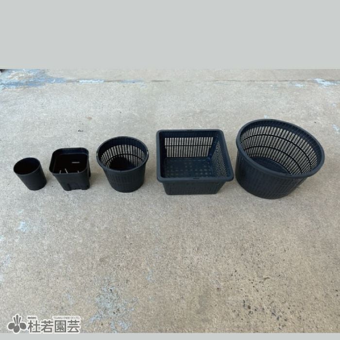 水草植替えポット（丸） | 杜若園芸WEBショップ｜水草の生産販売【通販