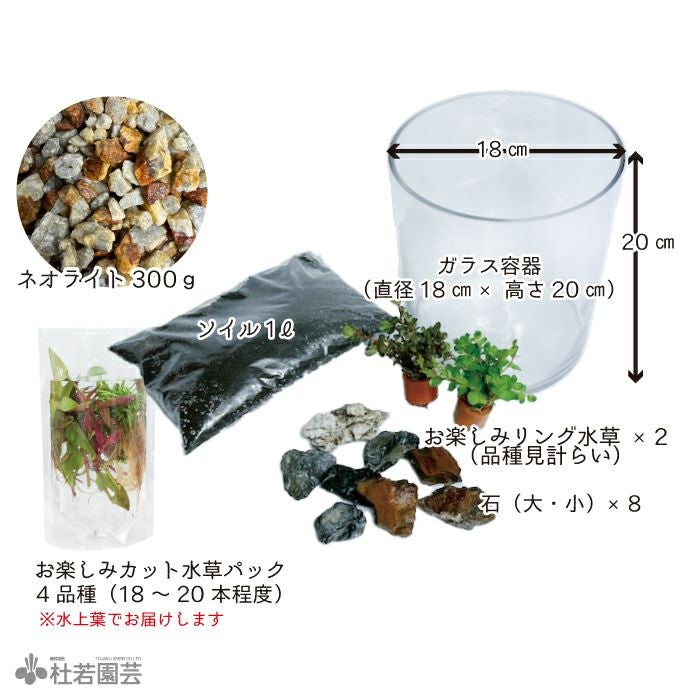 ☆杜のメダカ☆★メダカ飼育にオススメコケリウム・テラリウム完成品★20キューブ水槽 ☆杜のメダカメダカ飼育にオススメコケリウム・テラリウム完成品☆20