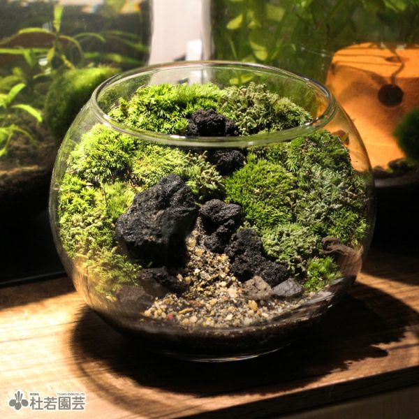 000000003717-01.jpg?size=l&w=