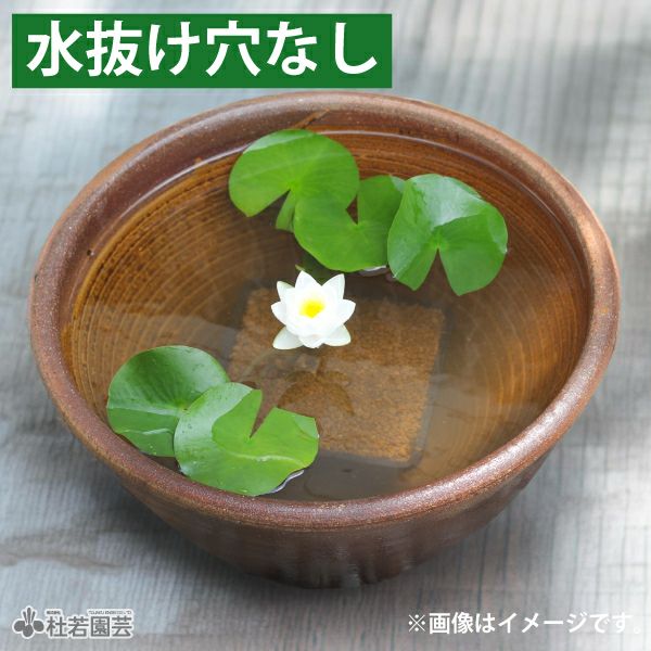水鉢(陶器・プラ）】睡蓮鉢、メダカ鉢、蓮鉢 通販（販売） | 杜若園芸