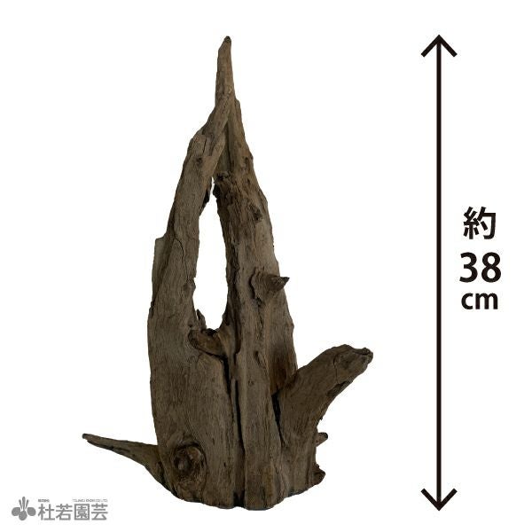 ブラックホーンウッド-138 | 杜若園芸WEBショップ｜水草の生産販売