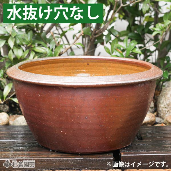 穴なしスイレン陶器鉢 丸型（L） | 杜若園芸WEBショップ｜水草の生産