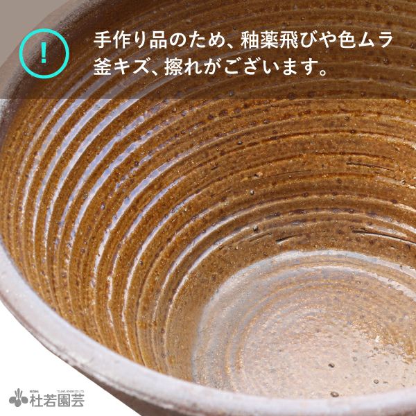 穴なしスイレン陶器鉢 丸型（L） | 杜若園芸WEBショップ｜水草の生産