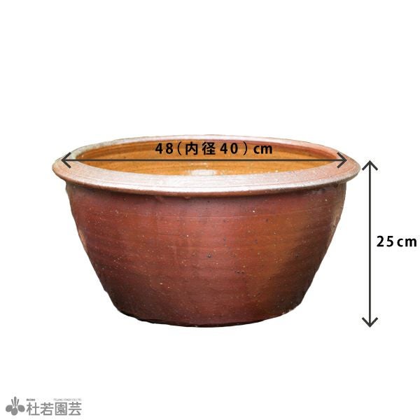 穴なしスイレン陶器鉢 丸型（L） | 杜若園芸WEBショップ｜水草の生産
