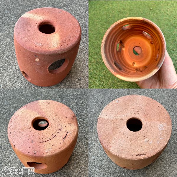 メダカの隠れ場所におすすめ！】メダカのお部屋 | 杜若園芸WEBショップ