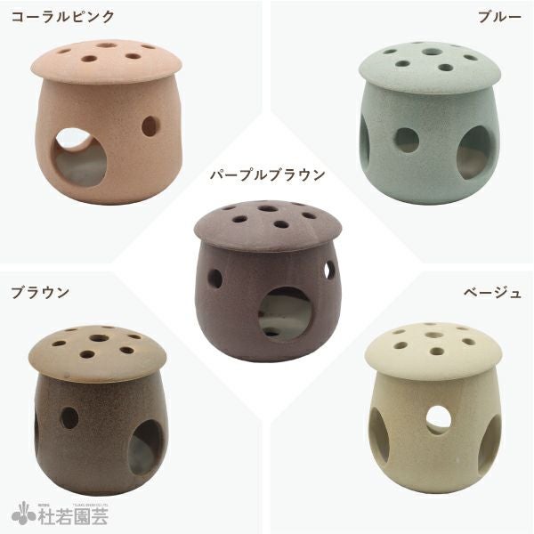 メダカの隠れ場所におすすめ！】メダカの憩いハウス | 杜若園芸WEB