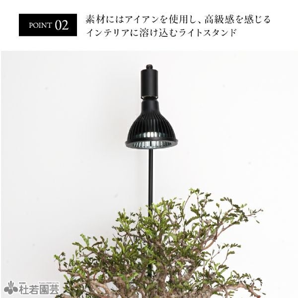 植物育成ライトスタンド】フロアーランプスタンド［アコン］74cm