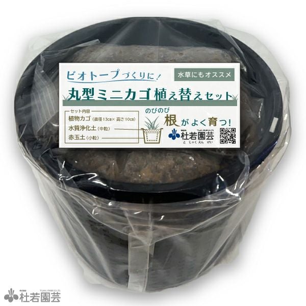丸型ミニカゴ植え替えセット | 杜若園芸WEBショップ｜水草の生産販売