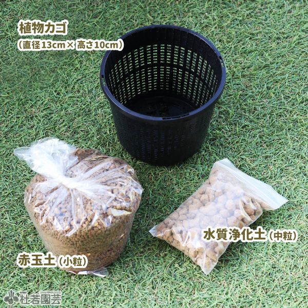 丸型ミニカゴ植え替えセット | 杜若園芸WEBショップ｜水草の生産販売