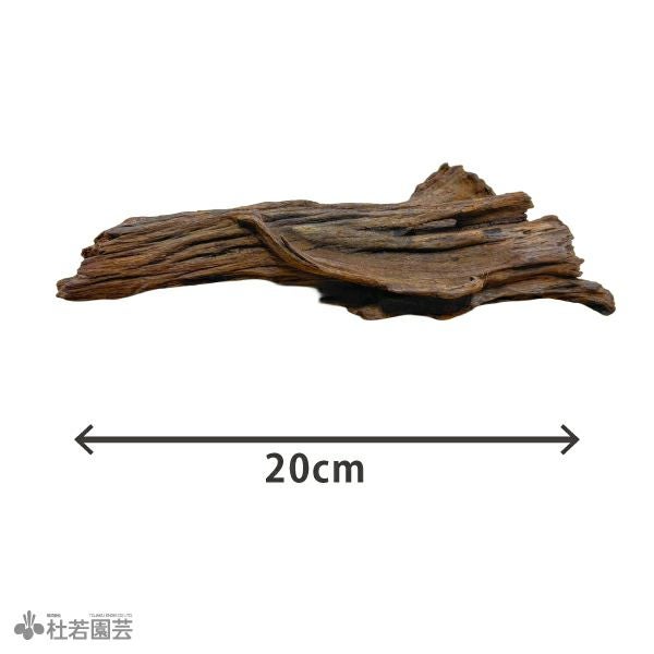マングローブ系 流木 Sサイズ | 杜若園芸WEBショップ｜水草の生産販売