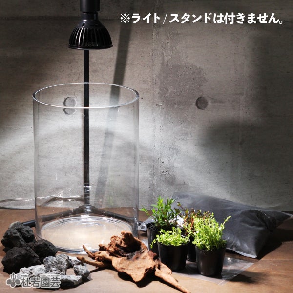 000000003792-02.jpg?size=l&w= 