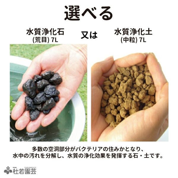 水草コーディネート3品種入りセット | 杜若園芸WEBショップ｜水草の