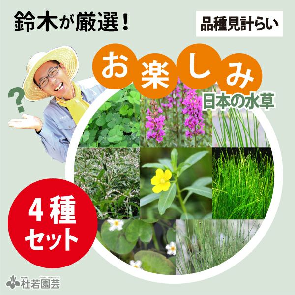 000000003828-01.jpg?size=m&w=