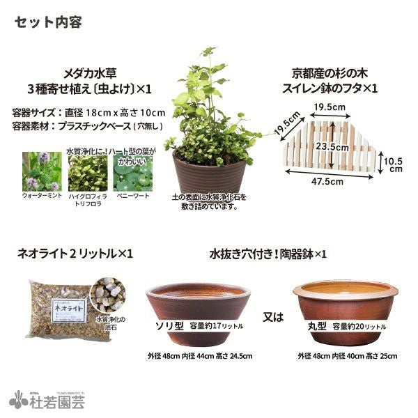虫・外敵対策！寄せ植え付きセット(陶器鉢付き) | 杜若園芸WEBショップ