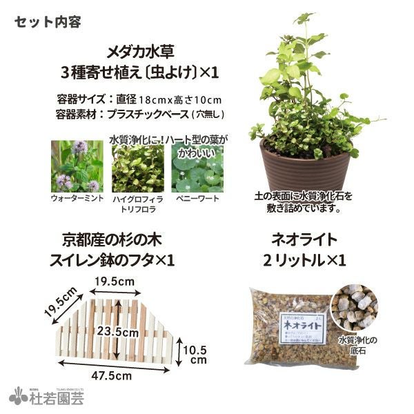 虫・外敵対策！寄せ植え付きセット(陶器鉢無し) | 杜若園芸WEBショップ