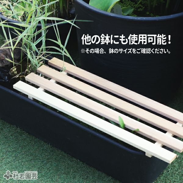 メダカ守る！プラ舟用のフタ（長方形型）【3枚セット】 | 杜若園芸WEB
