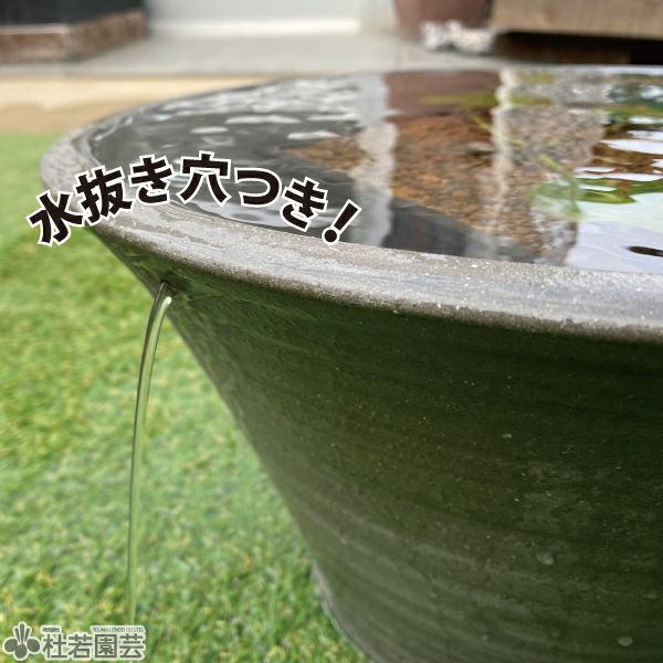 水鉢 手づくり 瓦色（13号） | 杜若園芸WEBショップ｜水草の生産販売
