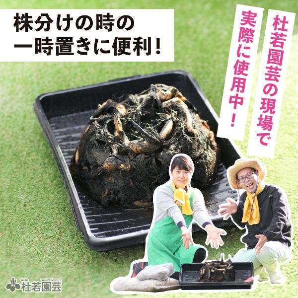 黒いFRP水槽用容器 中　家庭菜園にも？ 000000004039-02.jpg?size=l&w=