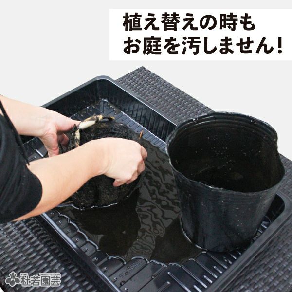 000000004039-03.jpg?size=l&w=
